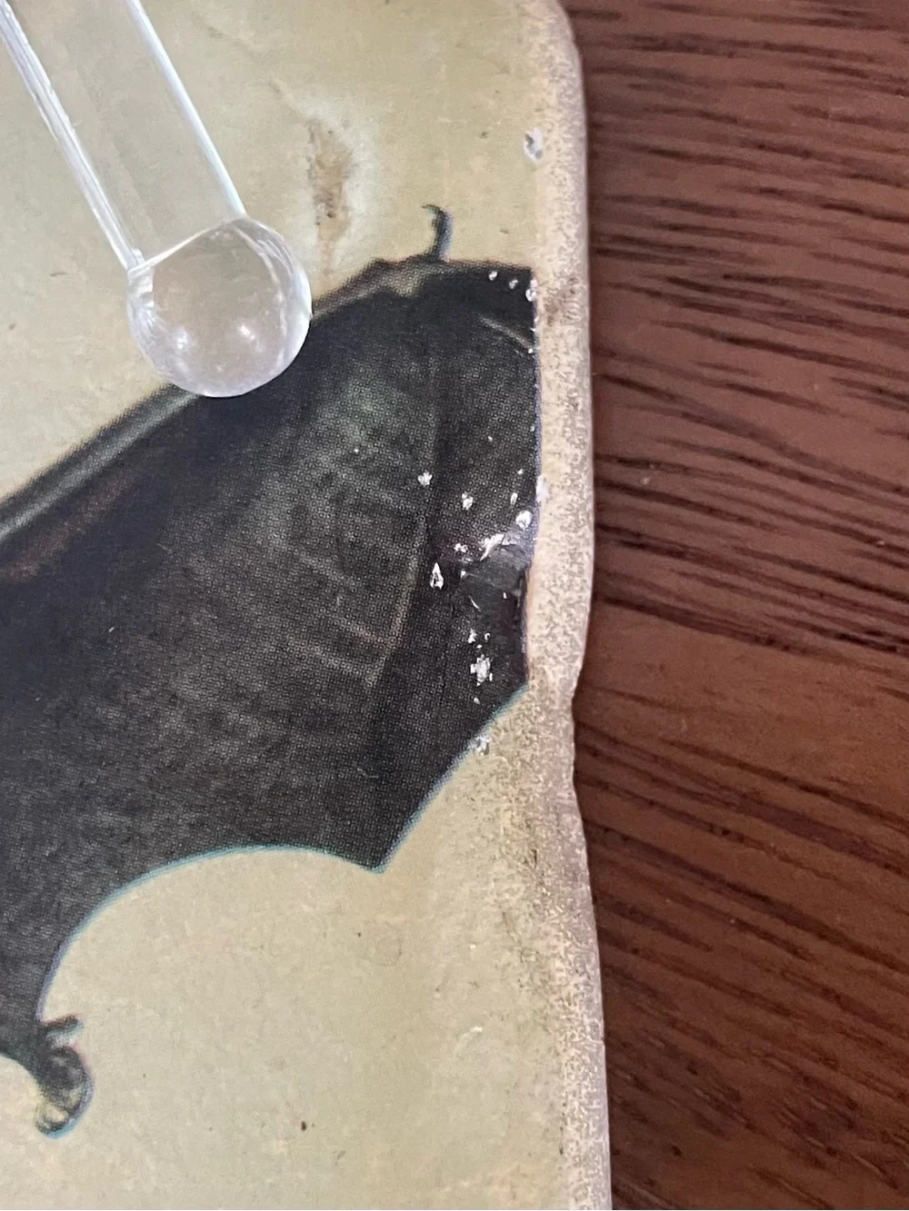 Set of 4 Cream Bat Illustration Coasters – Decorative Stone Drink Coasters